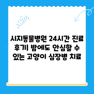 시지동물병원 24시간 고양이 심장진료 후기| 실제 경험담 공유 | 시지, 동물병원, 야간진료, 심장병, 고양이