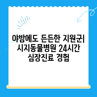 시지동물병원 24시간 고양이 심장진료 후기| 실제 경험담 공유 | 시지, 동물병원, 야간진료, 심장병, 고양이