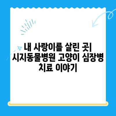 시지동물병원 24시간 고양이 심장진료 후기| 실제 경험담 공유 | 시지, 동물병원, 야간진료, 심장병, 고양이