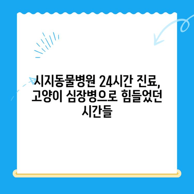 시지동물병원 24시간 고양이 심장진료 후기| 실제 경험담 공유 | 시지, 동물병원, 야간진료, 심장병, 고양이