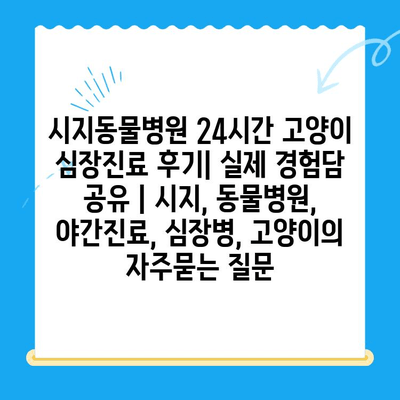 시지동물병원 24시간 고양이 심장진료 후기| 실제 경험담 공유 | 시지, 동물병원, 야간진료, 심장병, 고양이