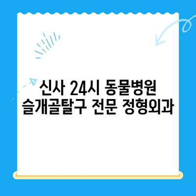 신사 24시 동물병원 슬개골탈구 전문 정형외과| 반려동물 슬개골탈구 치료, 이제 걱정하지 마세요! | 슬개골탈구, 수술, 재활, 전문의, 신사동