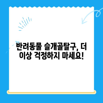 신사 24시 동물병원 슬개골탈구 전문 정형외과| 반려동물 슬개골탈구 치료, 이제 걱정하지 마세요! | 슬개골탈구, 수술, 재활, 전문의, 신사동