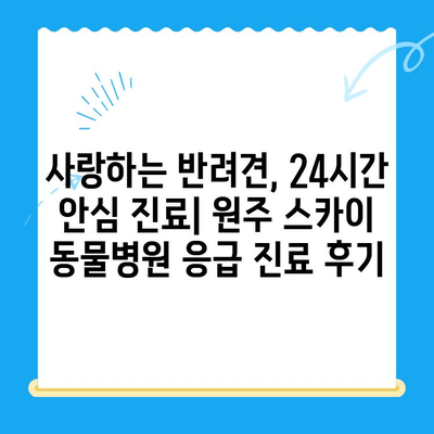 원주 24시 스카이 동물병원| 강아지 사지마비 및 갈색뇨 치료 후기 | 원주 동물병원 추천, 강아지 건강, 24시 응급 진료