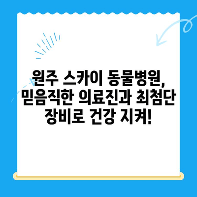 원주 24시 스카이 동물병원| 강아지 사지마비 및 갈색뇨 치료 후기 | 원주 동물병원 추천, 강아지 건강, 24시 응급 진료