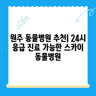 원주 24시 스카이 동물병원| 강아지 사지마비 및 갈색뇨 치료 후기 | 원주 동물병원 추천, 강아지 건강, 24시 응급 진료