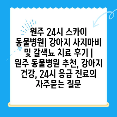 원주 24시 스카이 동물병원| 강아지 사지마비 및 갈색뇨 치료 후기 | 원주 동물병원 추천, 강아지 건강, 24시 응급 진료