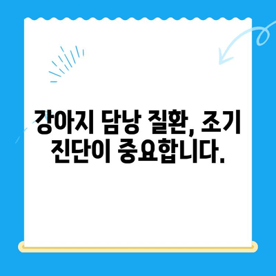 강아지 담낭 질환, 초음파 검사부터 치료까지| 24시 동물병원에서 해결하세요 | 강아지 담낭, 초음파 검사, 담낭 치료, 24시 동물병원