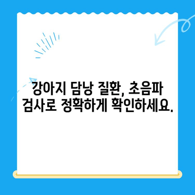 강아지 담낭 질환, 초음파 검사부터 치료까지| 24시 동물병원에서 해결하세요 | 강아지 담낭, 초음파 검사, 담낭 치료, 24시 동물병원