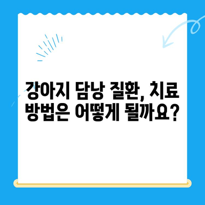 강아지 담낭 질환, 초음파 검사부터 치료까지| 24시 동물병원에서 해결하세요 | 강아지 담낭, 초음파 검사, 담낭 치료, 24시 동물병원