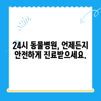 강아지 담낭 질환, 초음파 검사부터 치료까지| 24시 동물병원에서 해결하세요 | 강아지 담낭, 초음파 검사, 담낭 치료, 24시 동물병원