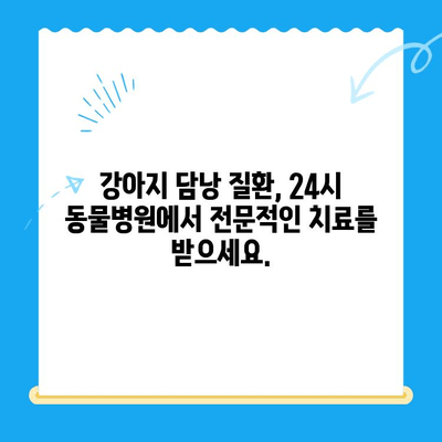 강아지 담낭 질환, 초음파 검사부터 치료까지| 24시 동물병원에서 해결하세요 | 강아지 담낭, 초음파 검사, 담낭 치료, 24시 동물병원