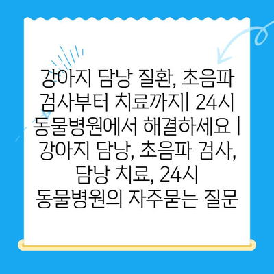 강아지 담낭 질환, 초음파 검사부터 치료까지| 24시 동물병원에서 해결하세요 | 강아지 담낭, 초음파 검사, 담낭 치료, 24시 동물병원