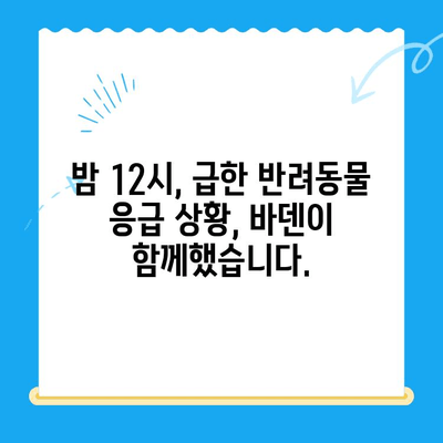 24시 동물병원 바덴 동물메디컬센터 방문 후기| 밤샘 진료 경험 공유 | 동물병원, 응급진료, 야간진료, 후기