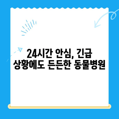 24시간 운영, 안과 검진 👍 만족스러웠던 동물병원 후기 | 반려동물, 안과 전문, 야간 진료, 응급 진료