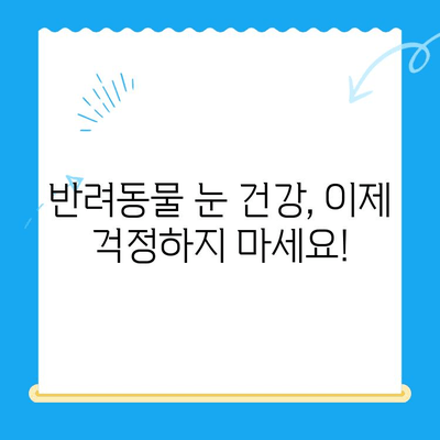 24시간 운영, 안과 검진 👍 만족스러웠던 동물병원 후기 | 반려동물, 안과 전문, 야간 진료, 응급 진료