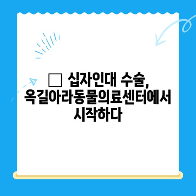 ๐ถ ์ญ์์ธ๋ ์์ ํ๊ธฐ| ์ฅ๊ธธ์๋ผ๋๋ฌผ์๋ฃ์ผํฐ์์์ ๐ถ | ๋ฐ๋ ค๊ฒฌ, ์์ ๊ฒฝํ, ํ๋ณต ๊ณผ์ , ์ฌํ