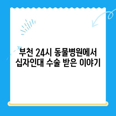 부천 24시 동물병원 십자인대 수술 후기| 성공적인 수술과 회복 이야기 | 부천 동물병원, 십자인대 수술, 강아지, 고양이, 수술 후 관리