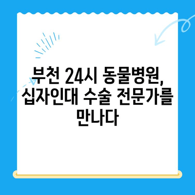 부천 24시 동물병원 십자인대 수술 후기| 성공적인 수술과 회복 이야기 | 부천 동물병원, 십자인대 수술, 강아지, 고양이, 수술 후 관리