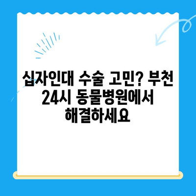 부천 24시 동물병원 십자인대 수술 후기| 성공적인 수술과 회복 이야기 | 부천 동물병원, 십자인대 수술, 강아지, 고양이, 수술 후 관리