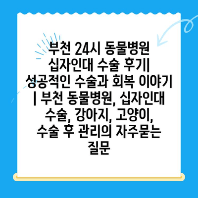 부천 24시 동물병원 십자인대 수술 후기| 성공적인 수술과 회복 이야기 | 부천 동물병원, 십자인대 수술, 강아지, 고양이, 수술 후 관리