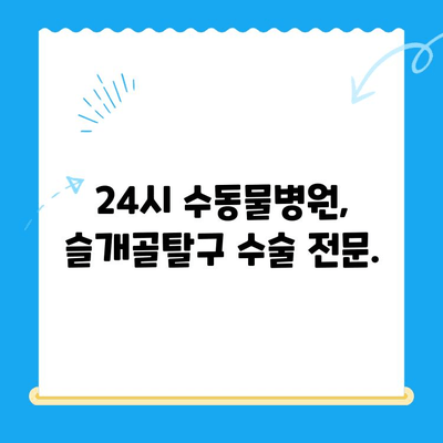 슬개골탈구 수술 사례| 24시 수동물병원의 전문적인 치료 | 슬개골탈구, 강아지 수술, 반려동물 병원, 수동물병원