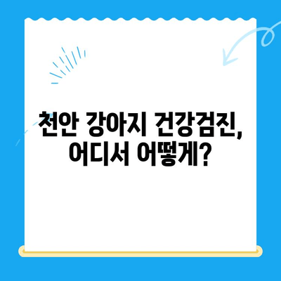 천안 강아지 건강검진 비용 & 추천 병원 정보 | 반려견 건강 지키기, 꼼꼼하게 알아보세요!