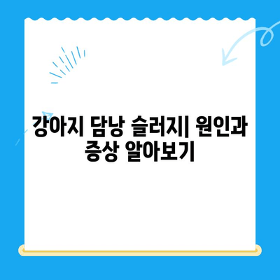 강아지 담낭 슬러지, 초음파 검사부터 치료까지| 24시간 동물병원 안내 | 강아지 건강, 담낭 질환, 응급 진료