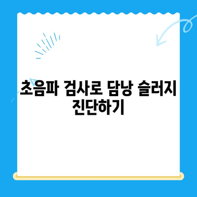 강아지 담낭 슬러지, 초음파 검사부터 치료까지| 24시간 동물병원 안내 | 강아지 건강, 담낭 질환, 응급 진료