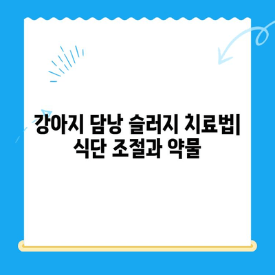 강아지 담낭 슬러지, 초음파 검사부터 치료까지| 24시간 동물병원 안내 | 강아지 건강, 담낭 질환, 응급 진료