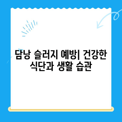 강아지 담낭 슬러지, 초음파 검사부터 치료까지| 24시간 동물병원 안내 | 강아지 건강, 담낭 질환, 응급 진료