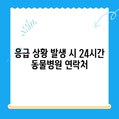 강아지 담낭 슬러지, 초음파 검사부터 치료까지| 24시간 동물병원 안내 | 강아지 건강, 담낭 질환, 응급 진료