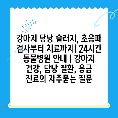 강아지 담낭 슬러지, 초음파 검사부터 치료까지| 24시간 동물병원 안내 | 강아지 건강, 담낭 질환, 응급 진료