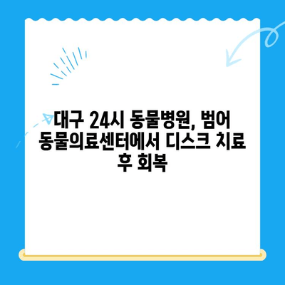 강아지 디스크 검진 후, 대구 24시 범어 동물의료센터 회복실에서 편안하게! | 강아지 디스크, 24시 동물병원, 대구, 회복