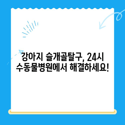 24시 수동물병원 강아지 슬개골탈구 수술 사례| 성공적인 치료 후기 | 슬개골탈구, 수술 후 관리, 재활