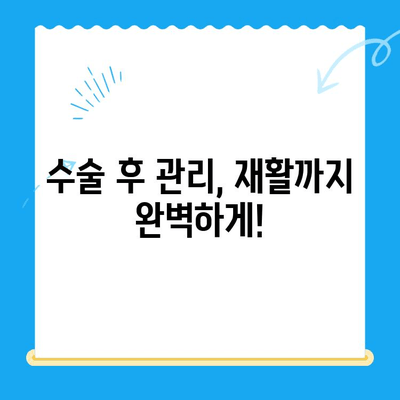 24시 수동물병원 강아지 슬개골탈구 수술 사례| 성공적인 치료 후기 | 슬개골탈구, 수술 후 관리, 재활