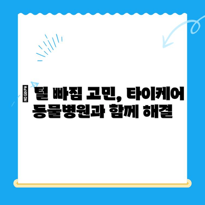 강아지 알로페시아, 화정동 타이케어 동물병원 피부 검사 후기| 털 빠짐 원인과 치료 과정 | 알로페시아, 강아지 피부병, 동물병원 후기