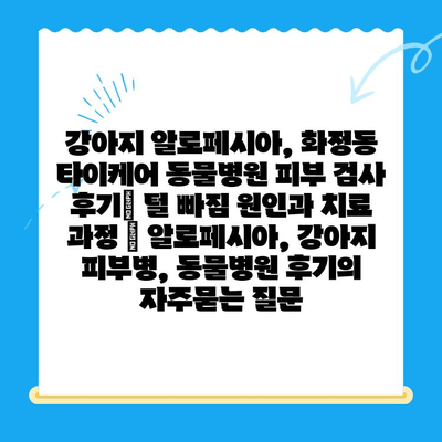 강아지 알로페시아, 화정동 타이케어 동물병원 피부 검사 후기| 털 빠짐 원인과 치료 과정 | 알로페시아, 강아지 피부병, 동물병원 후기