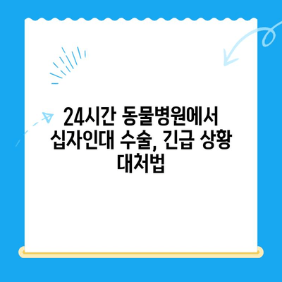 24시간 동물병원에서 십자인대 수술| 반려동물의 빠른 회복을 위한 안내 | 긴급 수술, 수술 과정, 입원, 비용, 후처치