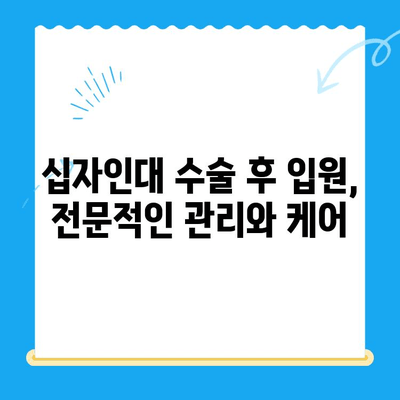 24시간 동물병원에서 십자인대 수술| 반려동물의 빠른 회복을 위한 안내 | 긴급 수술, 수술 과정, 입원, 비용, 후처치