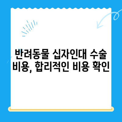 24시간 동물병원에서 십자인대 수술| 반려동물의 빠른 회복을 위한 안내 | 긴급 수술, 수술 과정, 입원, 비용, 후처치