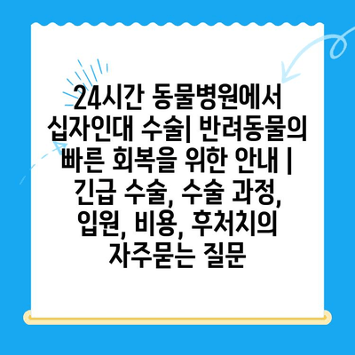 24시간 동물병원에서 십자인대 수술| 반려동물의 빠른 회복을 위한 안내 | 긴급 수술, 수술 과정, 입원, 비용, 후처치