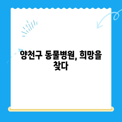 양천구 동물병원 강아지 혈관육종 수술 후기| [환자 이름]이의 극적인 회복 이야기 | 혈관육종, 수술, 강아지, 양천구, 동물병원