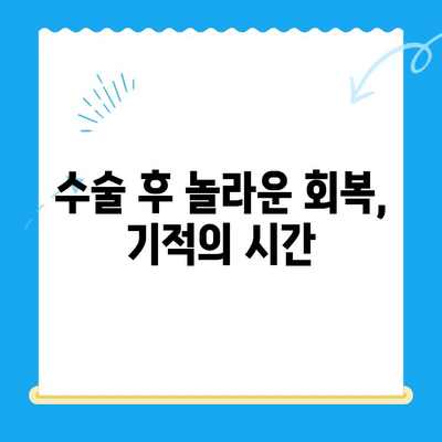 양천구 동물병원 강아지 혈관육종 수술 후기| [환자 이름]이의 극적인 회복 이야기 | 혈관육종, 수술, 강아지, 양천구, 동물병원