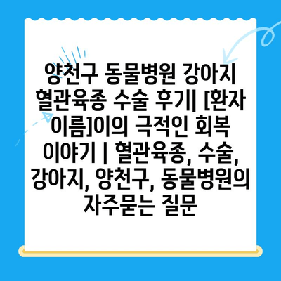 양천구 동물병원 강아지 혈관육종 수술 후기| [환자 이름]이의 극적인 회복 이야기 | 혈관육종, 수술, 강아지, 양천구, 동물병원