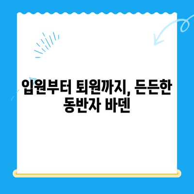 광주 24시 바덴 동물메디컬센터 회복실, 꼼꼼한 돌봄으로 건강 되찾기 | 동물병원, 24시 응급, 회복, 입원