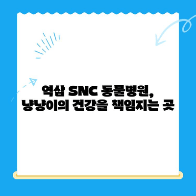 역삼 SNC 동물병원 진료 후기| 냥냥이의 건강을 지키는 따뜻한 경험 | 고양이 진료, 역삼 동물병원, SNC 동물병원, 진료 후기