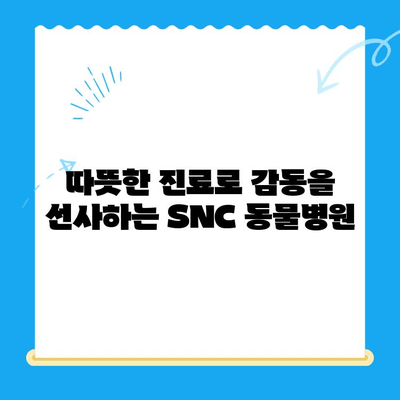 역삼 SNC 동물병원 진료 후기| 냥냥이의 건강을 지키는 따뜻한 경험 | 고양이 진료, 역삼 동물병원, SNC 동물병원, 진료 후기