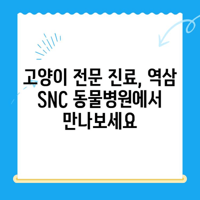 역삼 SNC 동물병원 진료 후기| 냥냥이의 건강을 지키는 따뜻한 경험 | 고양이 진료, 역삼 동물병원, SNC 동물병원, 진료 후기