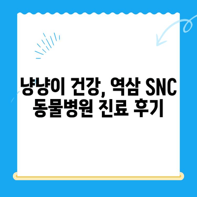 역삼 SNC 동물병원 진료 후기| 냥냥이의 건강을 지키는 따뜻한 경험 | 고양이 진료, 역삼 동물병원, SNC 동물병원, 진료 후기